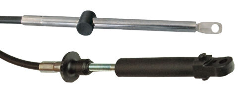 CIĘGNO C14 - 1,83 M / 6 FT