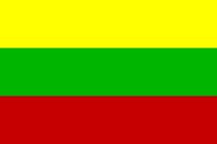BANDERA 30X50 LITWY